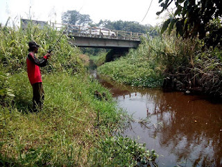 Spot ikan kerandang di Sebangau Kalimantan Tengah