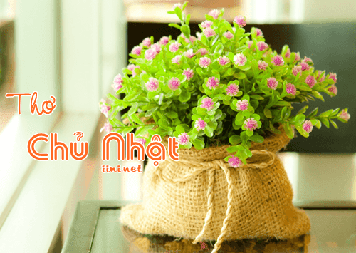 Thơ Chủ Nhật