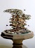 Bonsai Tree Houses by Takanori Aiba