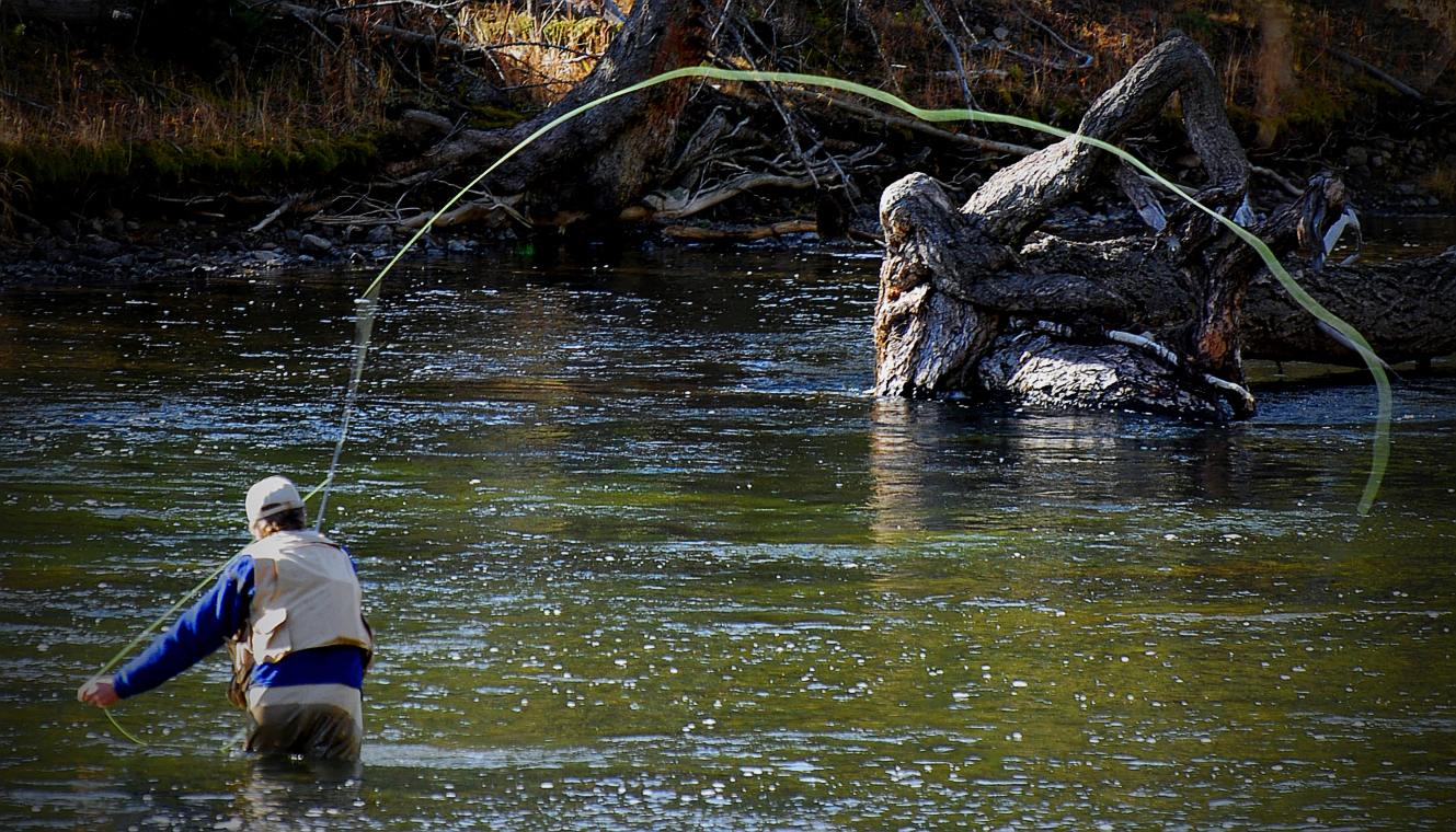 Fly Fishing In Yellowstone National Park: A Day To Remember