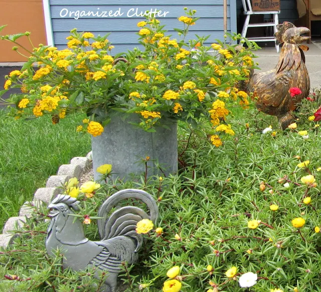 Chicken Themed Garden