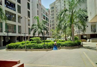 Gulmohar Park Builder Floor Apartment for Sale