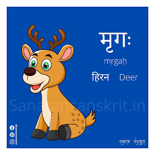 Deer (हिरन) in Sanskrit