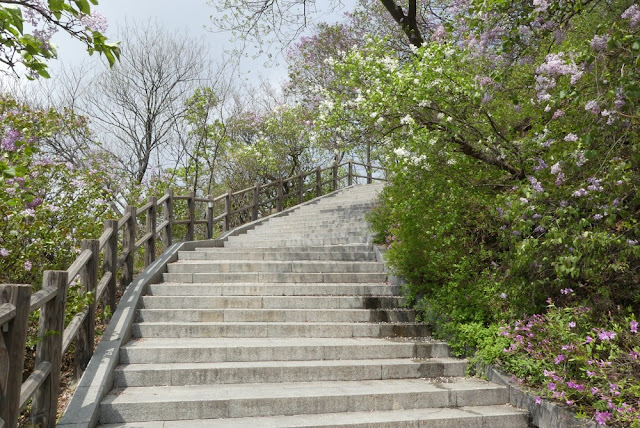 Seoul - Namsan-Park