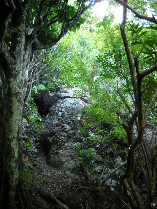 DSCN5011