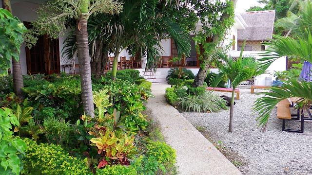 garden with paved pathways to some of the rooms at Sogod Bay Scuba Resort, Padre Burgos, Southern Leyte