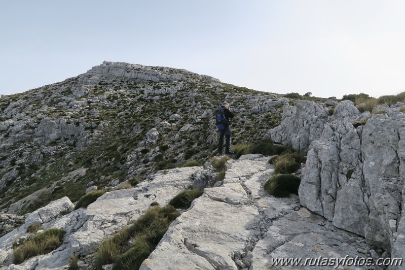 Sierra de los Pinos por las Pulgas