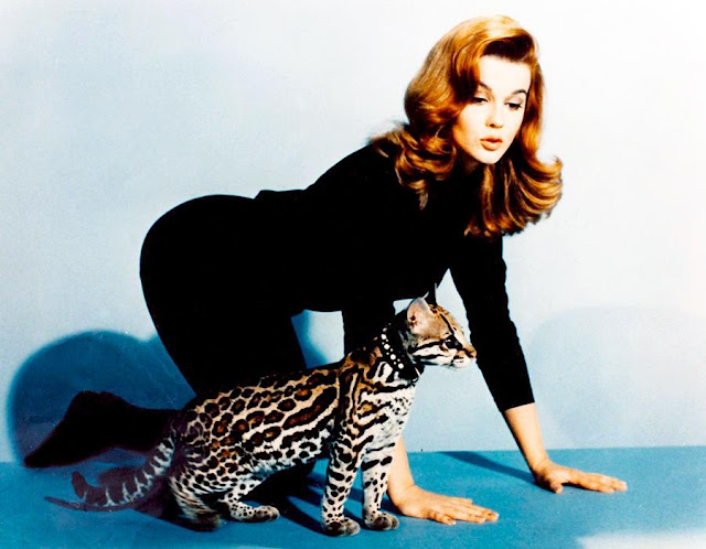 Ann Margret Profile pictures, Dp Images, Display pics collection for whatsapp, Facebook, Instagram, Pinterest.