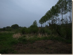 P5064384