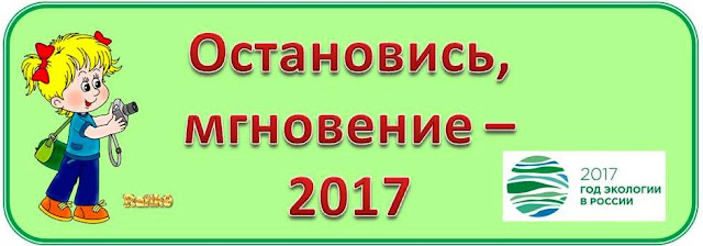 Остановись, мгновение - 2017