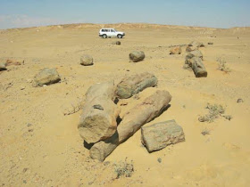 Petrified trees on ancient coast, witnesses of Great Flood, Sahara, Africa