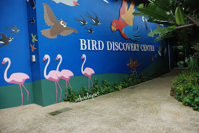 Children learning the discovery of Birds at the Birds Discovery Center