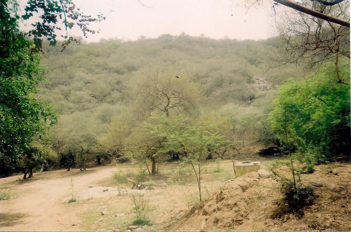 Mangar Bani-Dham
