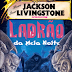 Aventuras Fantásticas 19: Ladrão da Meia Noite