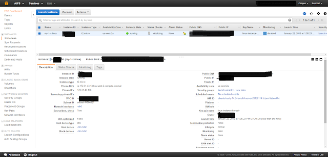 AWS Instance details 