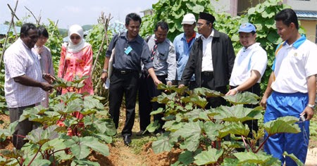 ENSIKLOPEDIA PENDIDIKAN : Taman herba untuk P&P dan alam 