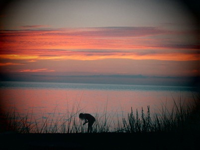 blog (13)