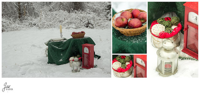  Snowy Outdoor Bridal Session Lynchburg