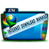 Internet Download Manager 6.21 (Built-1) and (Built-2) Inclus Patch + Serial