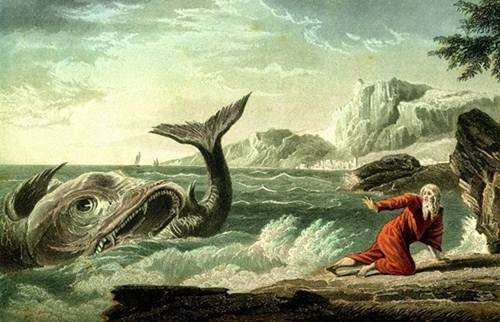 4 Misteri Ikan Nun Nabi Yunus Yang Masih Hidup Hingga Kini 