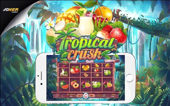 Slotxo Tropical Crush
