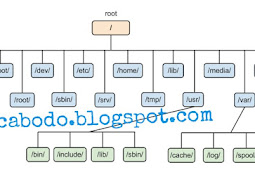 Struktur Sistem File Pada Linux