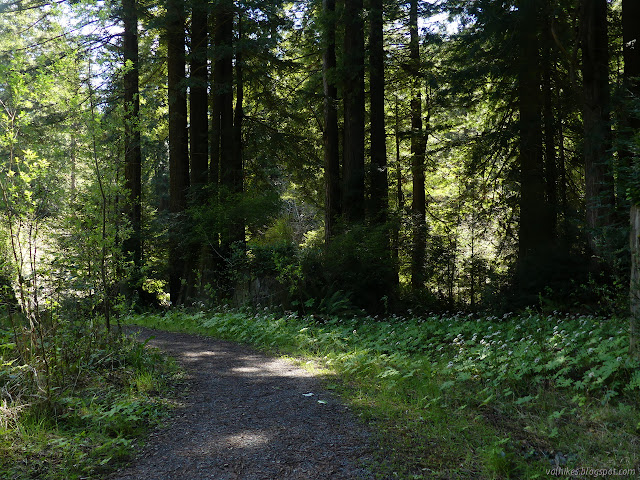 flat, wide gravel trail