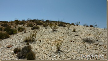 Crystal trail_022