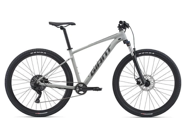 Giant Bikes