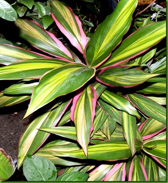 PC070005