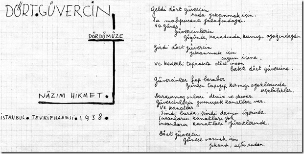 dortguvercin