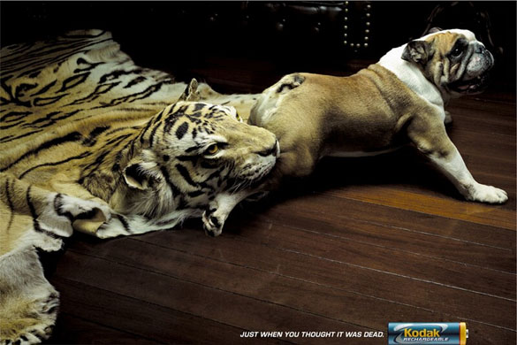 Hilarious Print Advertisements 