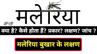 Malaria, मलेरिया, malaria fever, मलेरिया के लक्षण, मलेरिया क्या है