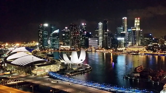 新加坡藝術科學博物館夜景