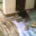 Jasa Pemasangan Parquet