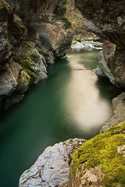 Springtime in the river