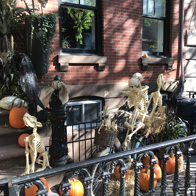 Halloween Season is Here! | Linzer Lane Blog