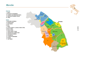 Map of the Marche wine region in Italy