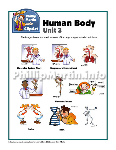 Human Body Unit 3