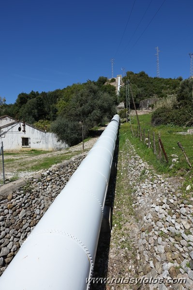 Estación de Cortes - Cañón de las Buitreras - Estación de Gaucín