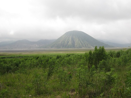 suatu pagi di Bromo