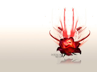 Everlasting Motion Rose wallpaper