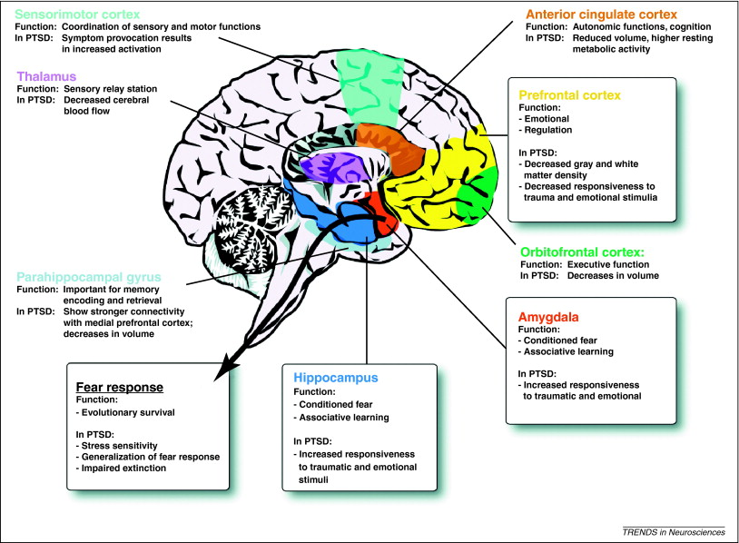 http://www.cell.com/trends/neurosciences/fulltext/S0166-2236(11)00103-2