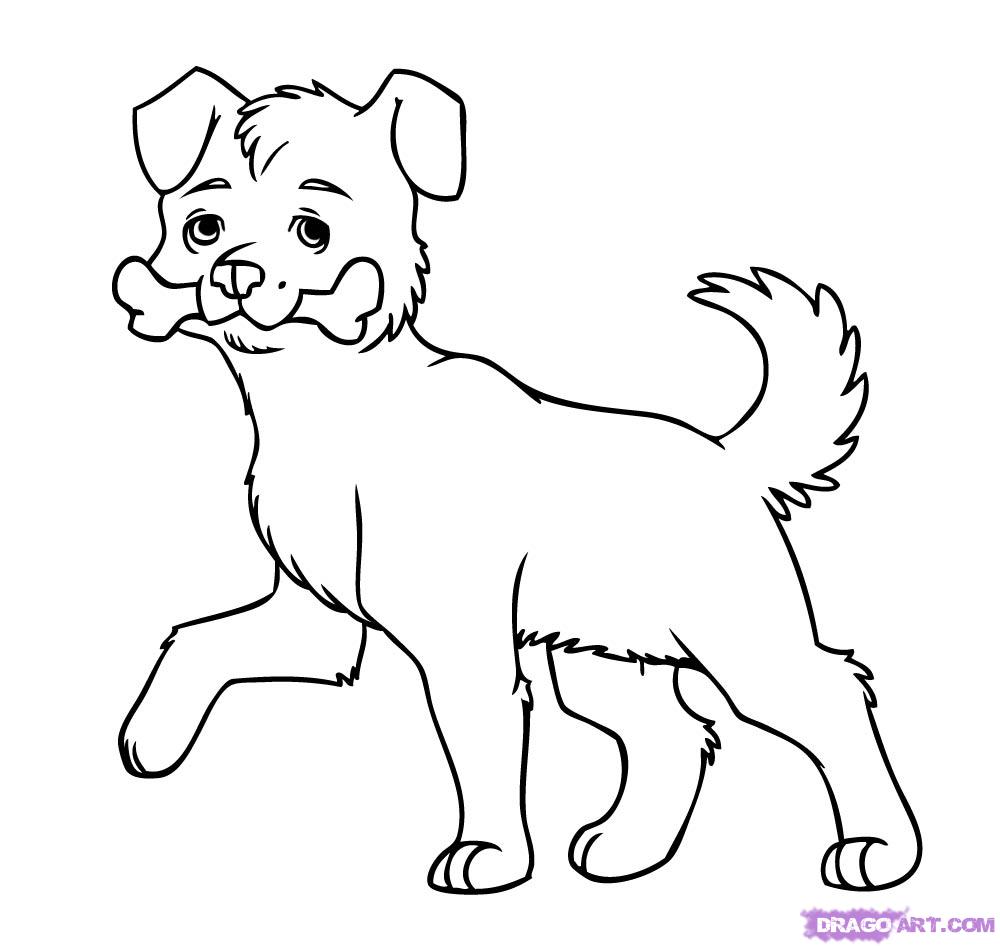 funny pictures: How to draw a dog easily for kids