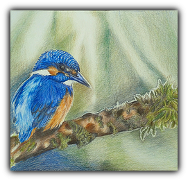 http://fc05.deviantart.net/fs70/i/2014/121/4/2/kingfisher_by_nataliamarszolek-d7gofmu.png