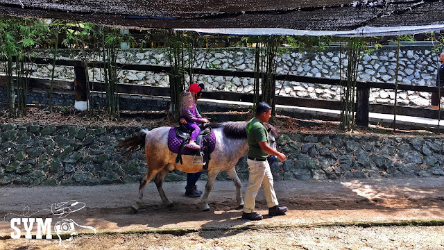 FARM IN THE CITY SERI KEMBANGAN