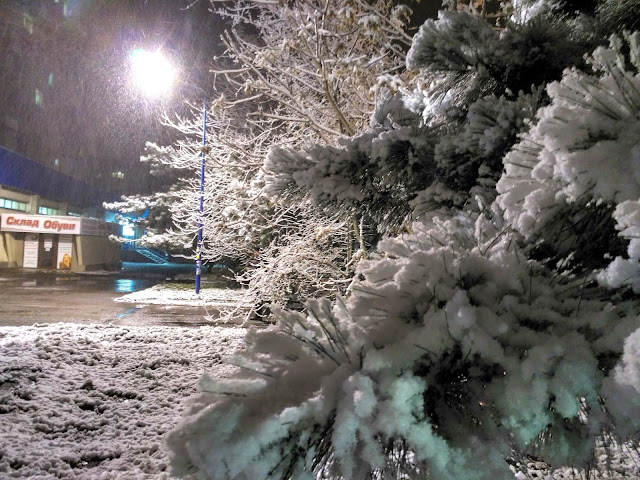 первый снег в городе