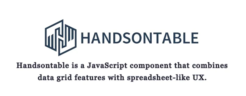 Handsontable Data Grid