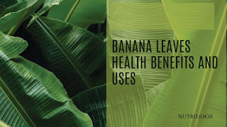 Benefits and Uses of Banana Leaves: Names, Herbal Uses, and Health Benefits