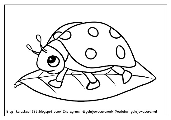 contoh lembar mewarnai tema serangga untuk anak PAUD/TK/SD